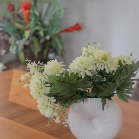 Appartement Elysia Park