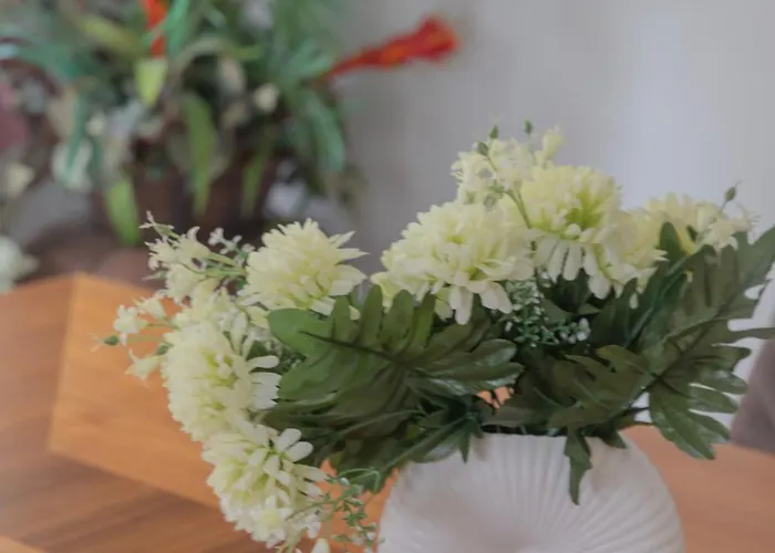 Lejlighed Elysia Park